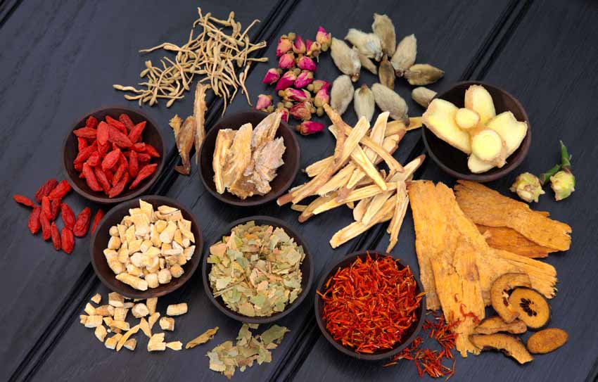 Traditional Chinese Medicine in Coquitlam, BC, Canada